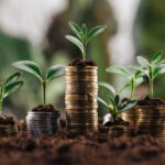 Mutual Funds in India: Understanding the Different Types